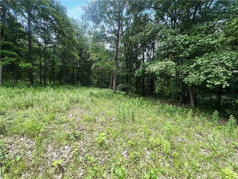 0 Coulter Estate Dr, Hanover Twp, PA 15021