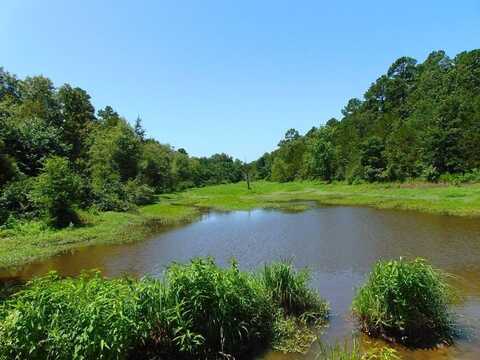 tbd Peach Creek Road, Fanshawe, OK 74935