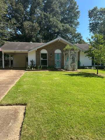 381 BOULDINCREST, COLLIERVILLE, TN 38017