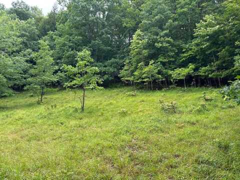 0 Alton Road, French Creek, WV 26218