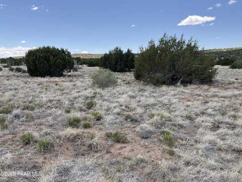 Lot 393 Country Lane, Concho, AZ 85924