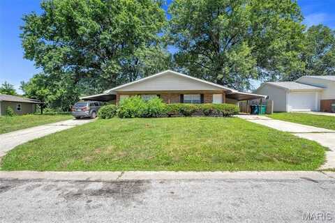 202 Liberty Drive, Belleville, IL 62226