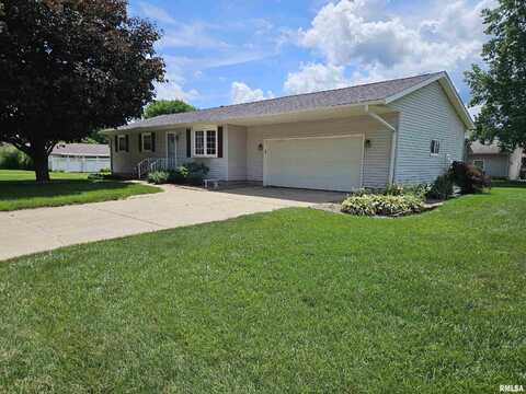 1154 MARK Street, Colona, IL 61241