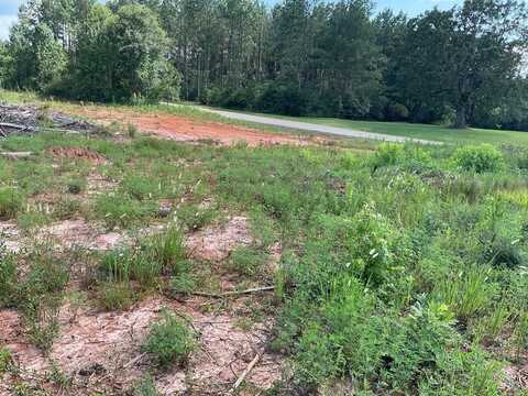 3500 Centenary Rd, Luverne, AL 36049