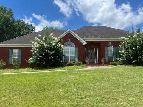 109 Wildridge Drive, Troy, AL 36081