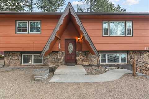 1204 W Lorraine Avenue, Woodland Park, CO 80863