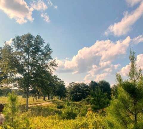 250b redfish rd, Poplarville, MS 39470