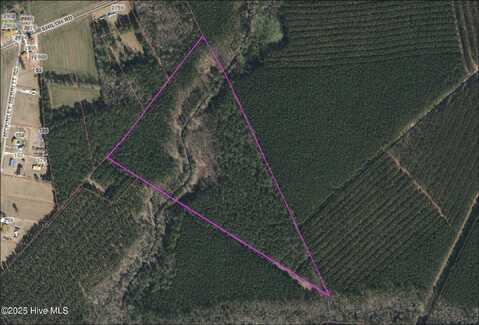 0 Shiloh Road, Willard, NC 28478