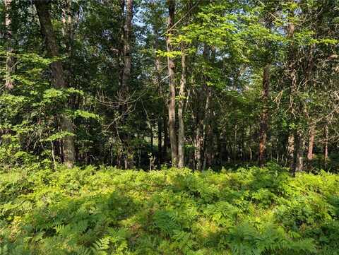 Xxx Dock Lake Road, Rusk, WI 54801