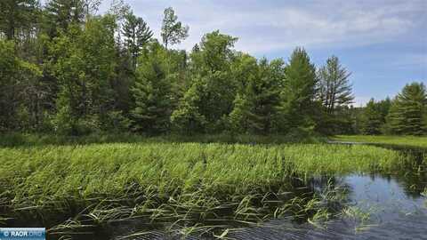 TBD 40 N Rollick Creek, Crane Lake, MN 55725
