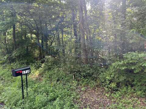 1710 Holly Glen Road, Decatur, TN 37322