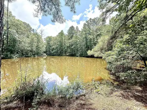 Old Jackson Road, Terry, MS 39170