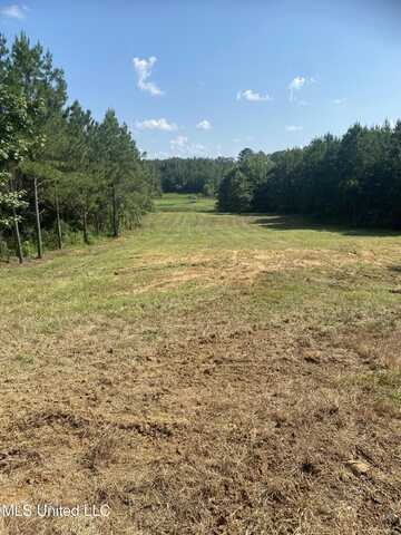 448 Attala Rd 4005, Goodman, MS 39079