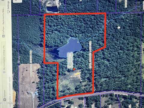 Basin Central Road, Lucedale, MS 39452