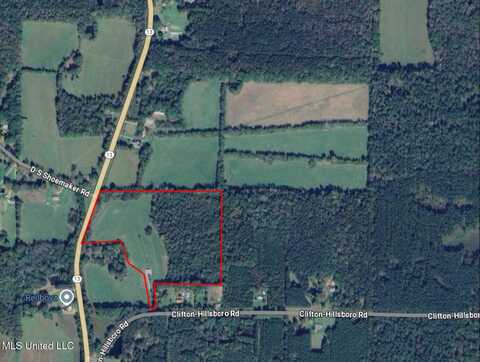 206 Clifton Hillsboro Rd. Road, Lena, MS 39094