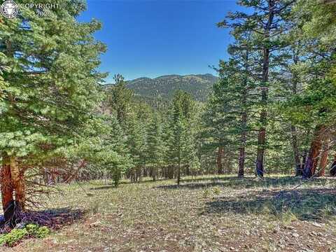 796 N Matterhorn Circle, Westcliffe, CO 81252