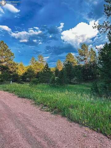 34 Quartz Circle, Florissant, CO 80816