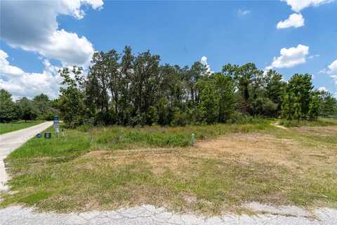 81 ZINNIA LN E, POINCIANA, FL 34759