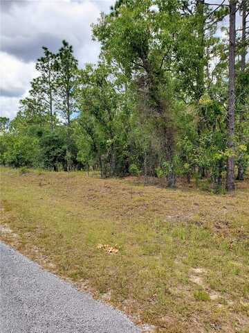 10715 N ACADEMY DRIVE, CITRUS SPRINGS, FL 34434