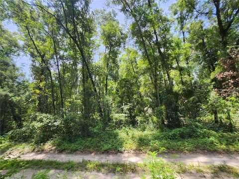3200 NE 167 STREET, CITRA, FL 32113