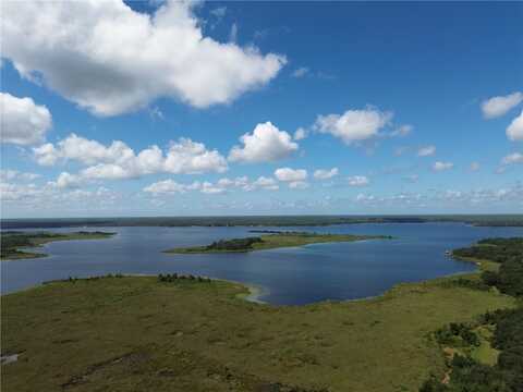23422 NE 154TH PLACE ROAD, SALT SPRINGS, FL 32134
