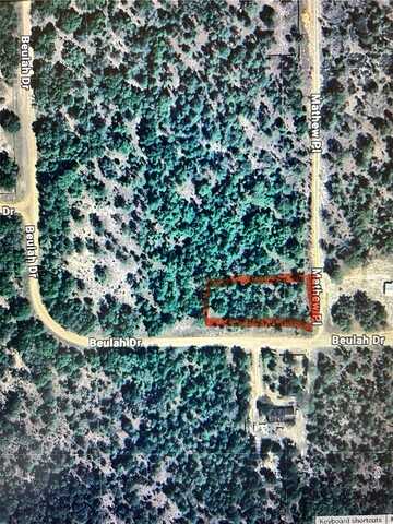 101 MATTHEW PLACE, HAWTHORNE, FL 32640