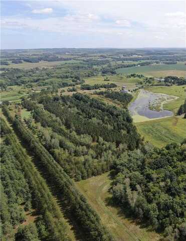 Tbd 272nd Street, Saint Martin Twp, MN 56362