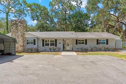 19094 SE 162ND STREET, WEIRSDALE, FL 32195