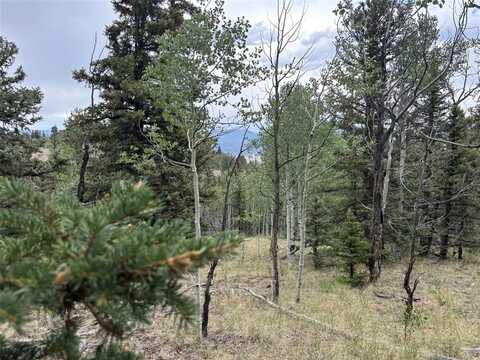 1928 WELLS FARGO CIRCLE, Jefferson, CO 80456