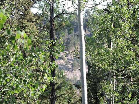 170 BUCKSKIN COURT, Como, CO 80432