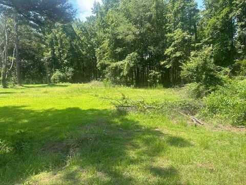 176 Log Road, Lynchburg, SC 29080