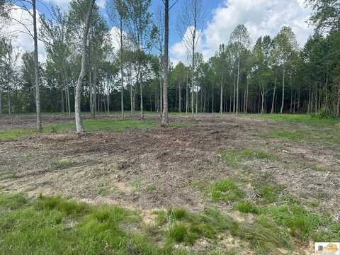 Gaskin Drive, Jamestown, KY 42629