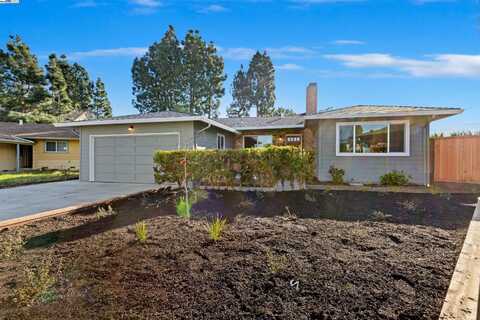 4668 Flamingo Park Ct, Fremont, CA 94538