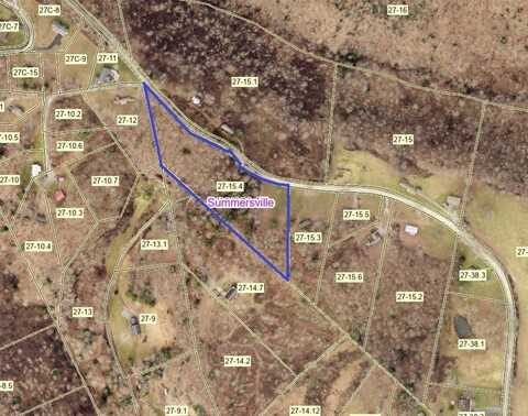 438 Irish Street, SUMMERSVILLE, WV 26651