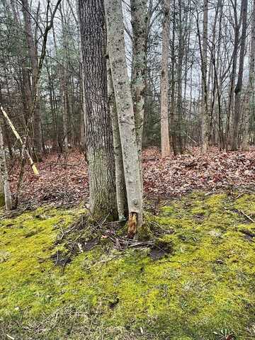 Timber Ridge Drive, BECKLEY, WV 25801