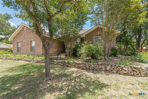 127 Maple Drive, Mountain City, TX 78610