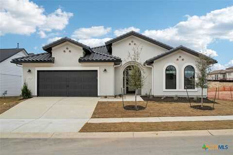 1532 Dancing Oak Lane, San Marcos, TX 78666