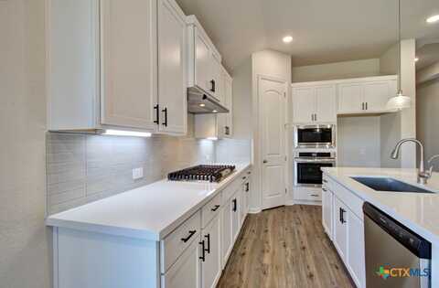 1739 Heritage Maples, New Braunfels, TX 78132