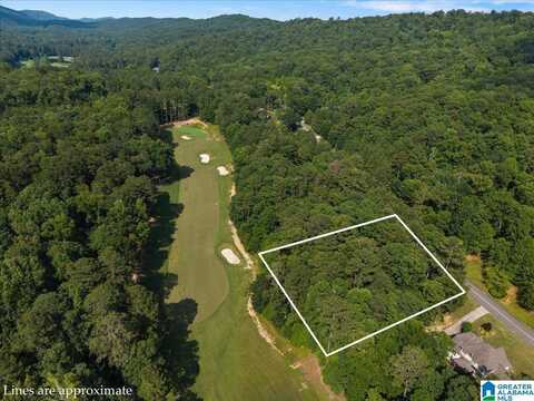 433 SAINT ANDREWS PARKWAY, ONEONTA, AL 35121