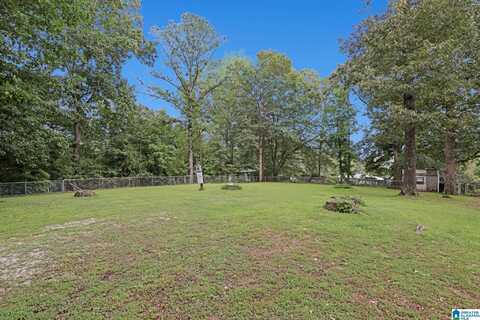 325 MCGINNIS STREET, SPRINGVILLE, AL 35146