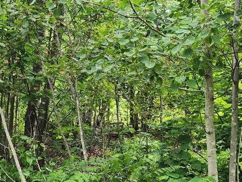 Lot B Blackberry Lane, Buckfield, ME 04220