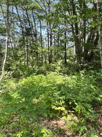 Tbd Frye Road, Somerville, ME 04348