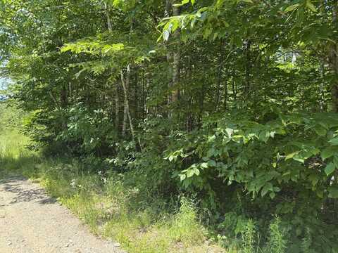 #002-006 Hilltop Lane, Princeton, ME 04668