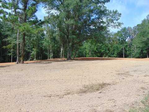 0 1005 Tarver Ln, Wesson, MS 39191