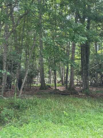 Tbd Carsonville Rd, Independence, VA 24348
