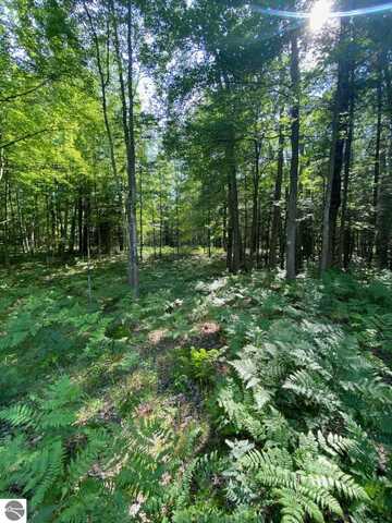 2569 E Wildwood Trail, Mikado, MI 48745