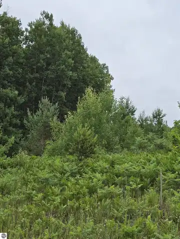 V/L 00 N 9 Road, Mesick, MI 49668