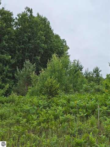 V/L 00 N 9 Road, Mesick, MI 49668