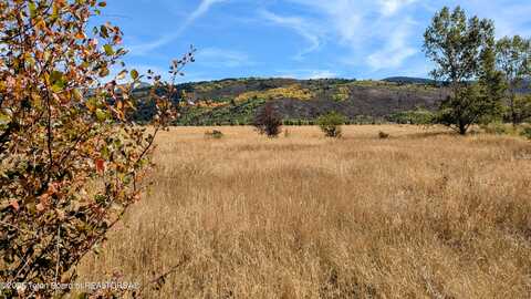 198 CATTAIL Road, Victor, ID 83455