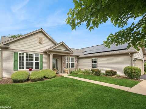 319 Capital Drive, Shorewood, IL 60404